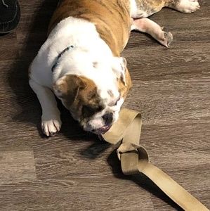 Meet your Posher, Candy